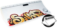 Harrier Fingerboard Ramps