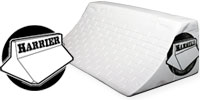 Harrier Fingerboard Ramps