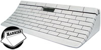 harrier fingerboard ramps